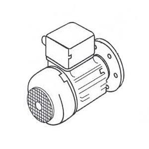 Двигатель к насосу Badu 1,3 kw 40/25 G (380В) (2040.255.037)